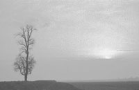 sans titre, 1969